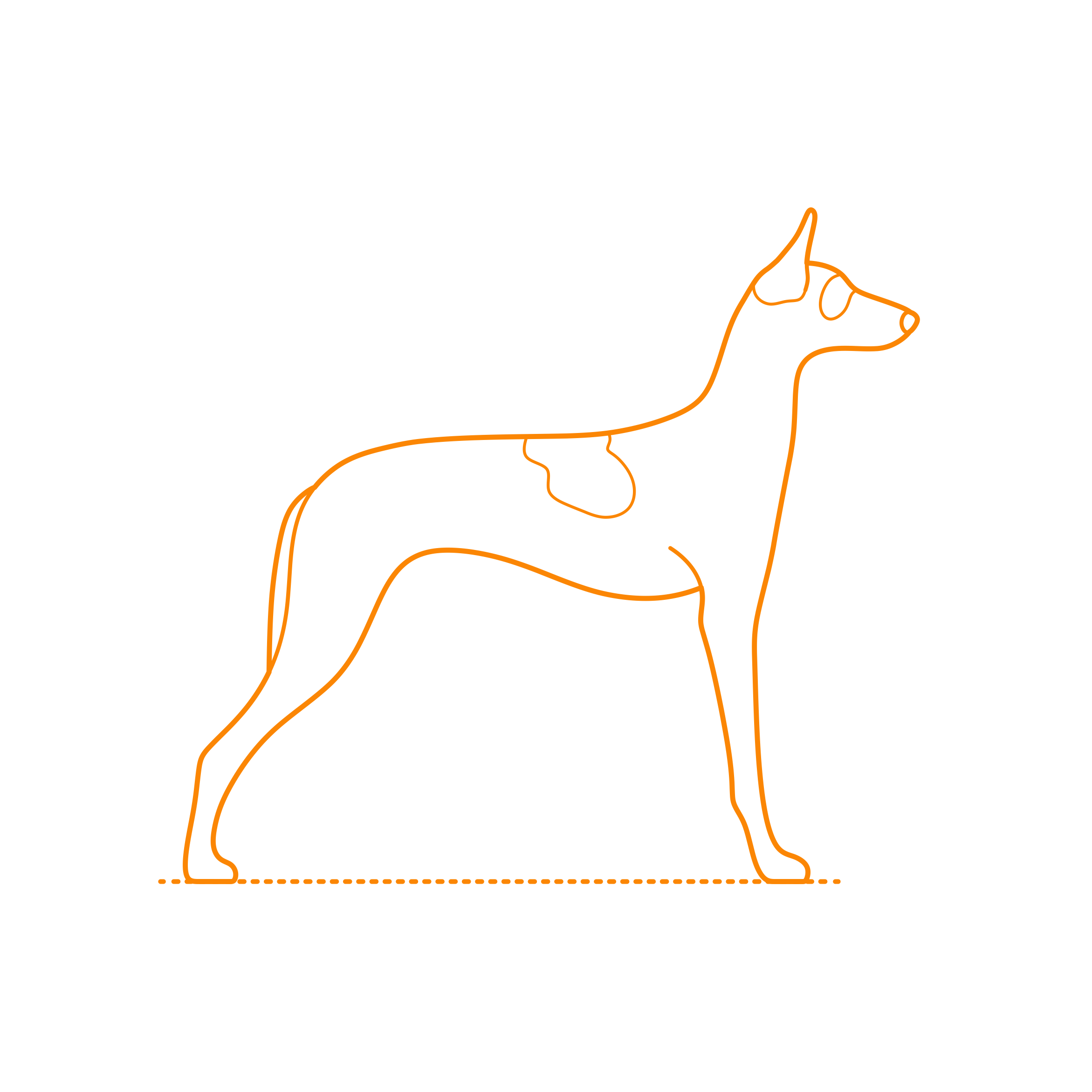 Animals Dogs Ibizan Hound Outline Svg File Free Vectors